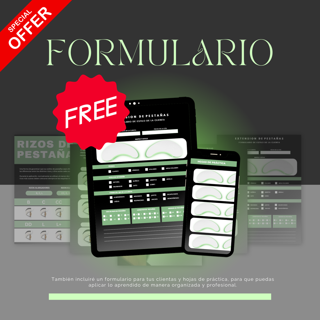 Estilos y Mapeo de Pestañas E-Book (ESP)