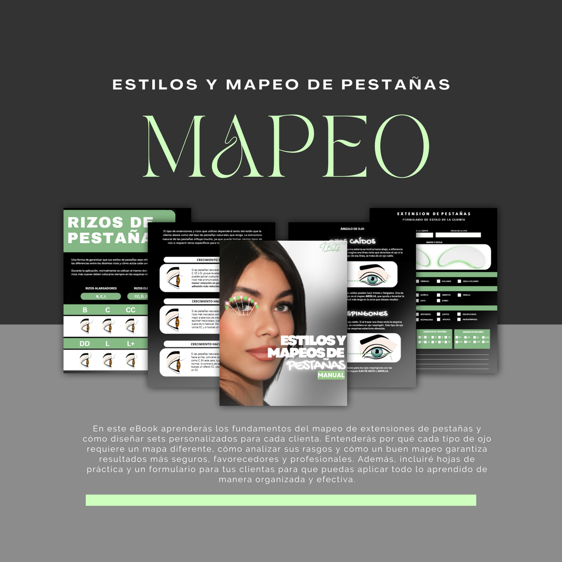 Estilos y Mapeo de Pestañas E-Book (ESP)